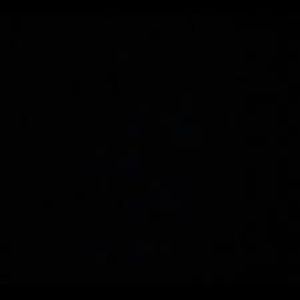 Meet your Posher, Conner